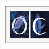 Set Of Two Ocean or Beach White Framed Print Wall Art - Homeroots - Flyclothing LLC