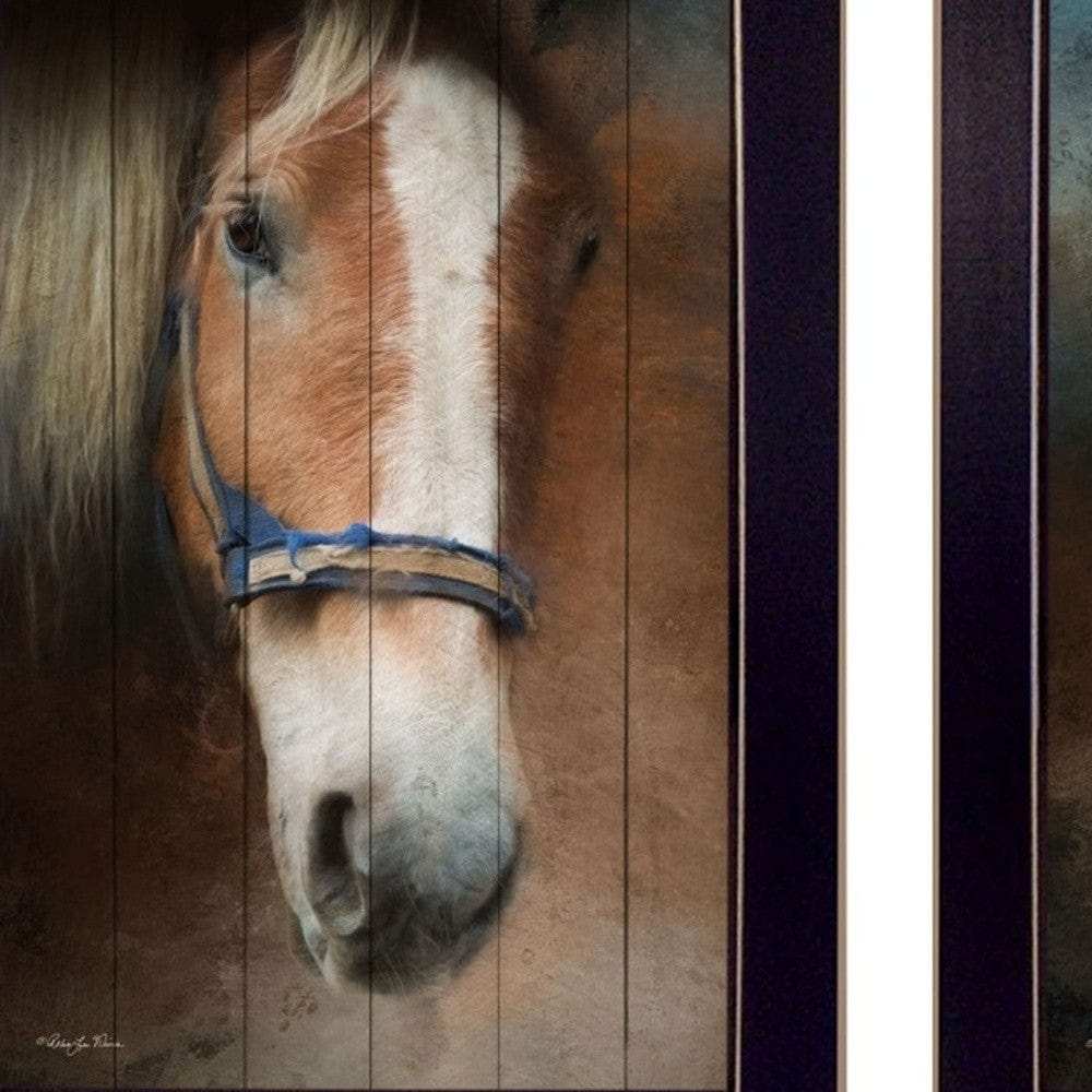 Set Of Two Two Horses Black Framed Print Wall Art - Homeroots - Flyclothing LLC