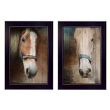Set Of Two Two Horses Black Framed Print Wall Art - Homeroots - Flyclothing LLC