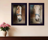 Set Of Two Two Horses Black Framed Print Wall Art - Homeroots - Flyclothing LLC