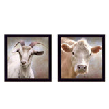 Set Of Two Up Close on the Farm Black Framed Print Wall Art - Homeroots - Flyclothing LLC