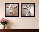 Set Of Two Up Close on the Farm Black Framed Print Wall Art - Homeroots - Flyclothing LLC