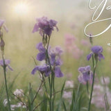 Set Of Two Bloom Where You are Planted 3 White Framed Print Wall Art - Homeroots - Flyclothing LLC