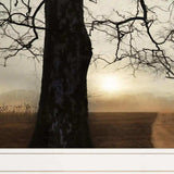 Set Of Two Enchanted Sunrise 1 White Framed Print Wall Art - Homeroots - Flyclothing LLC