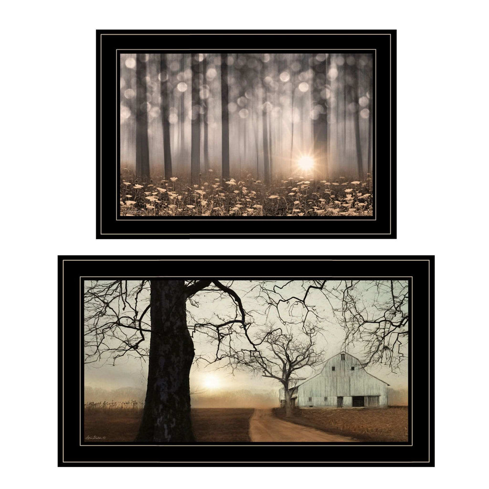 Set Of Two Enchanted Sunrise 2 Black Framed Print Wall Art - Homeroots - Flyclothing LLC