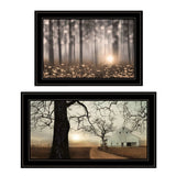 Set Of Two Enchanted Sunrise 2 Black Framed Print Wall Art - Homeroots - Flyclothing LLC