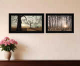 Set Of Two Enchanted Sunrise 2 Black Framed Print Wall Art - Homeroots - Flyclothing LLC