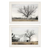 Set Of Two Ohio Fields I 1 White Framed Print Wall Art - Homeroots - Flyclothing LLC