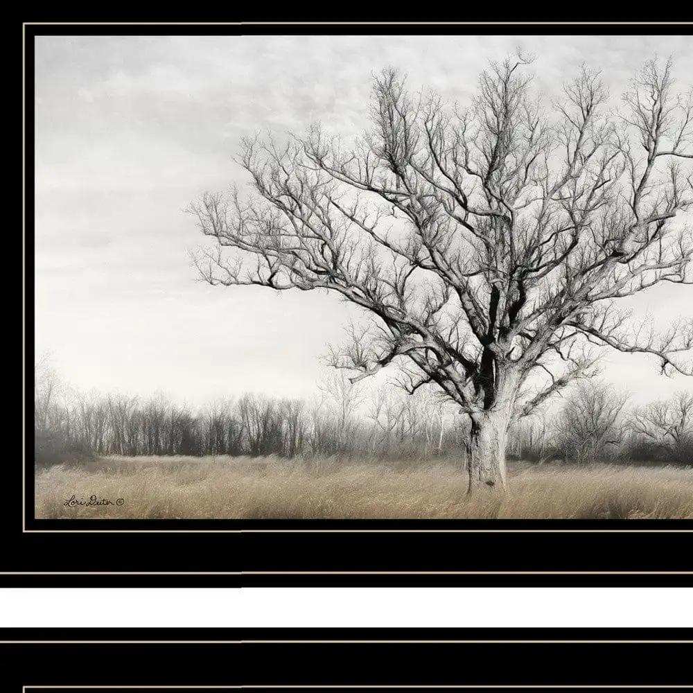 Set Of Two Ohio Fields I 2 Black Framed Print Wall Art - Homeroots - Flyclothing LLC