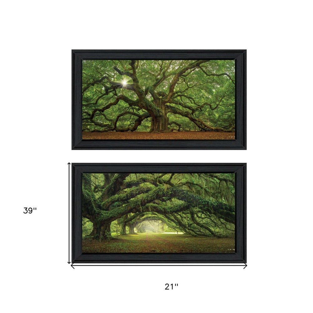 Set Of Two Tree Arbors by Moises Levy Black Frame Black Framed Print Wall Art - Homeroots - Flyclothing LLC