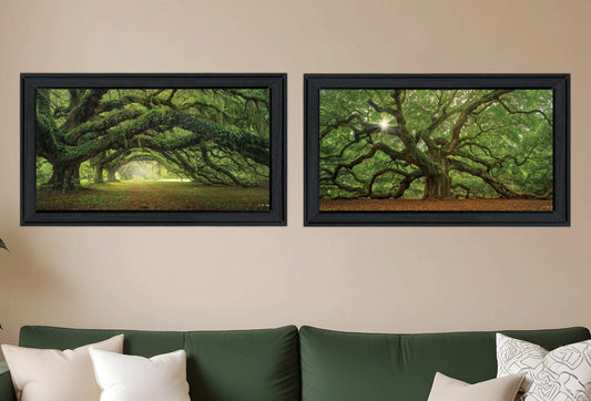 Set Of Two Tree Arbors by Moises Levy Black Frame Black Framed Print Wall Art - Homeroots - Flyclothing LLC