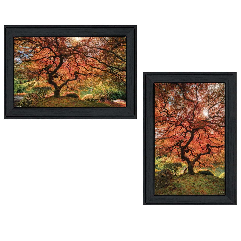 Set Of Two First Colors of Fall II Black Framed Print Wall Art - Homeroots - Flyclothing LLC
