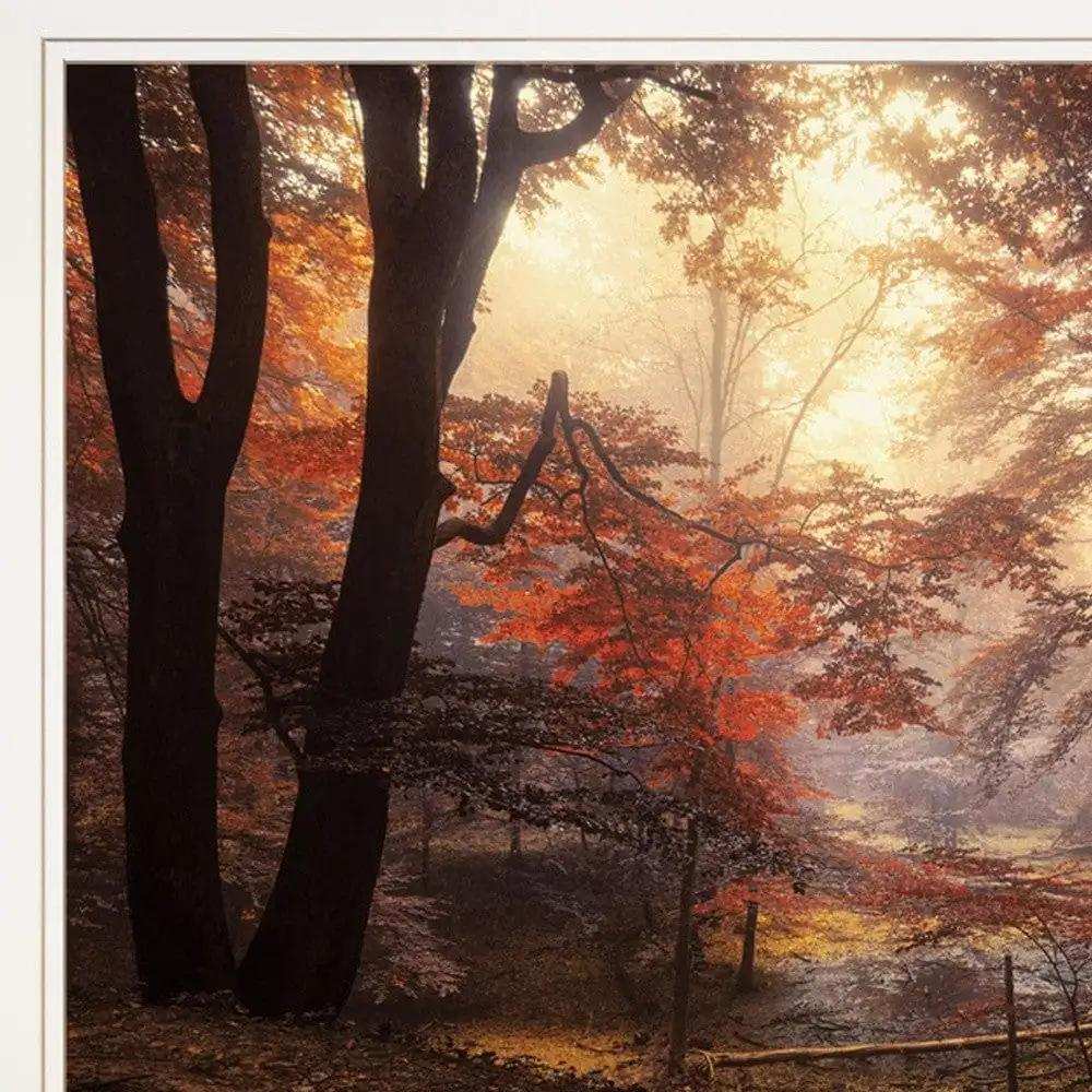 Set Of Two Natures Reflections 1 White Framed Print Wall Art - Homeroots - Flyclothing LLC