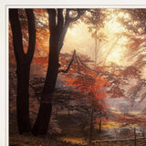 Set Of Two Natures Reflections 1 White Framed Print Wall Art - Homeroots - Flyclothing LLC