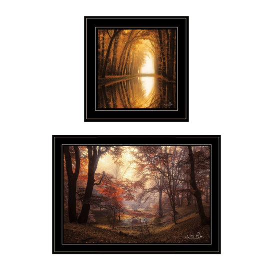 Set Of Two Natures Reflections 2 Black Framed Print Wall Art - Homeroots - Flyclothing LLC
