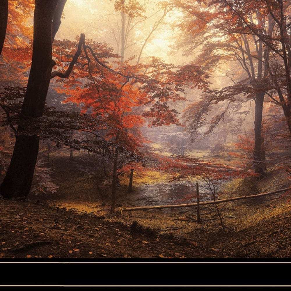 Set Of Two Natures Reflections 2 Black Framed Print Wall Art - Homeroots - Flyclothing LLC