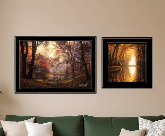 Set Of Two Natures Reflections 2 Black Framed Print Wall Art - Homeroots - Flyclothing LLC