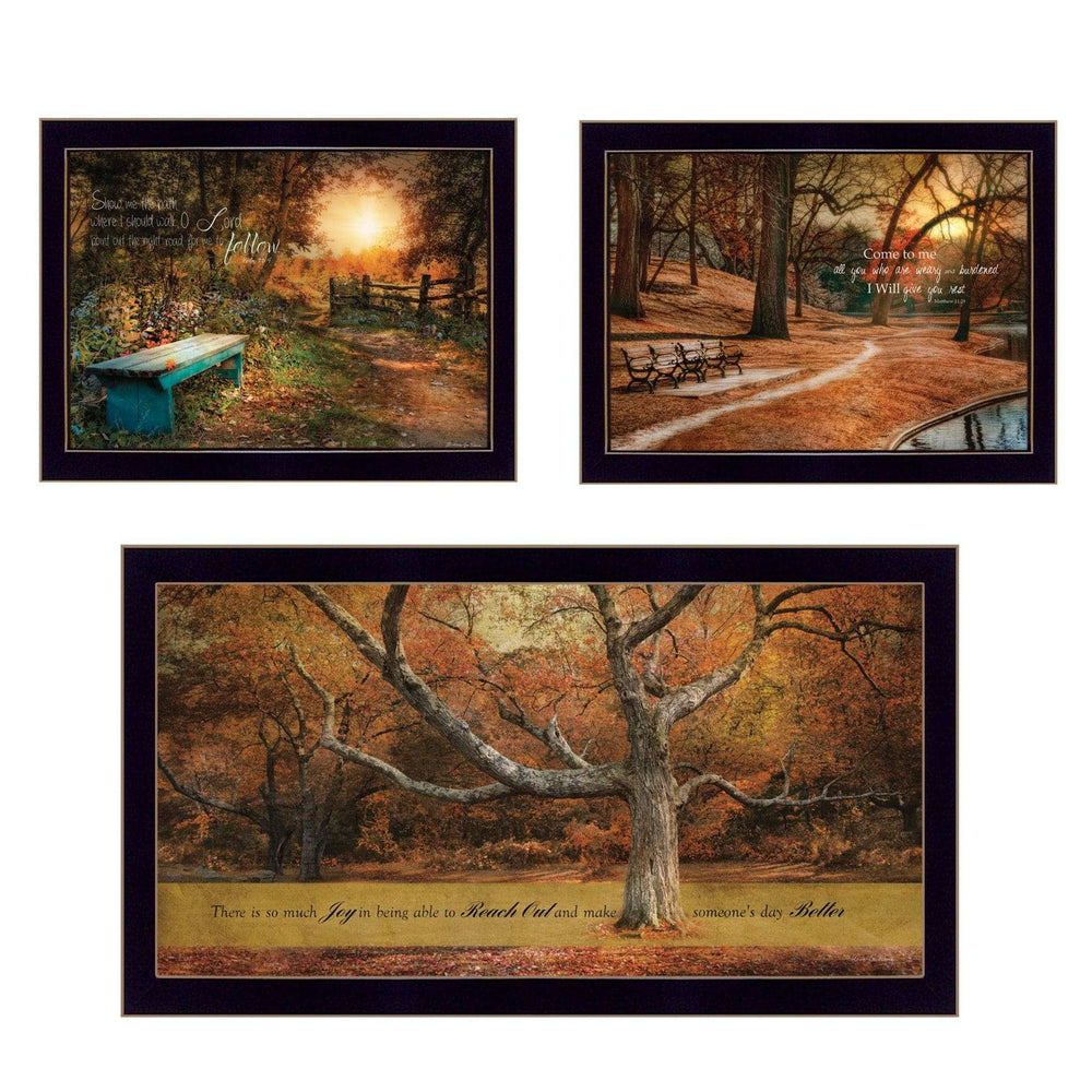 Set Of Three Tranquil Spaces 2 Black Framed Print Wall Art - Homeroots - Flyclothing LLC