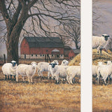 Wool Gathering 2 White Framed Print Wall Art - Homeroots - Flyclothing LLC