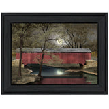 Warm Summers Eve 3 Black Framed Print Wall Art - Homeroots - Flyclothing LLC