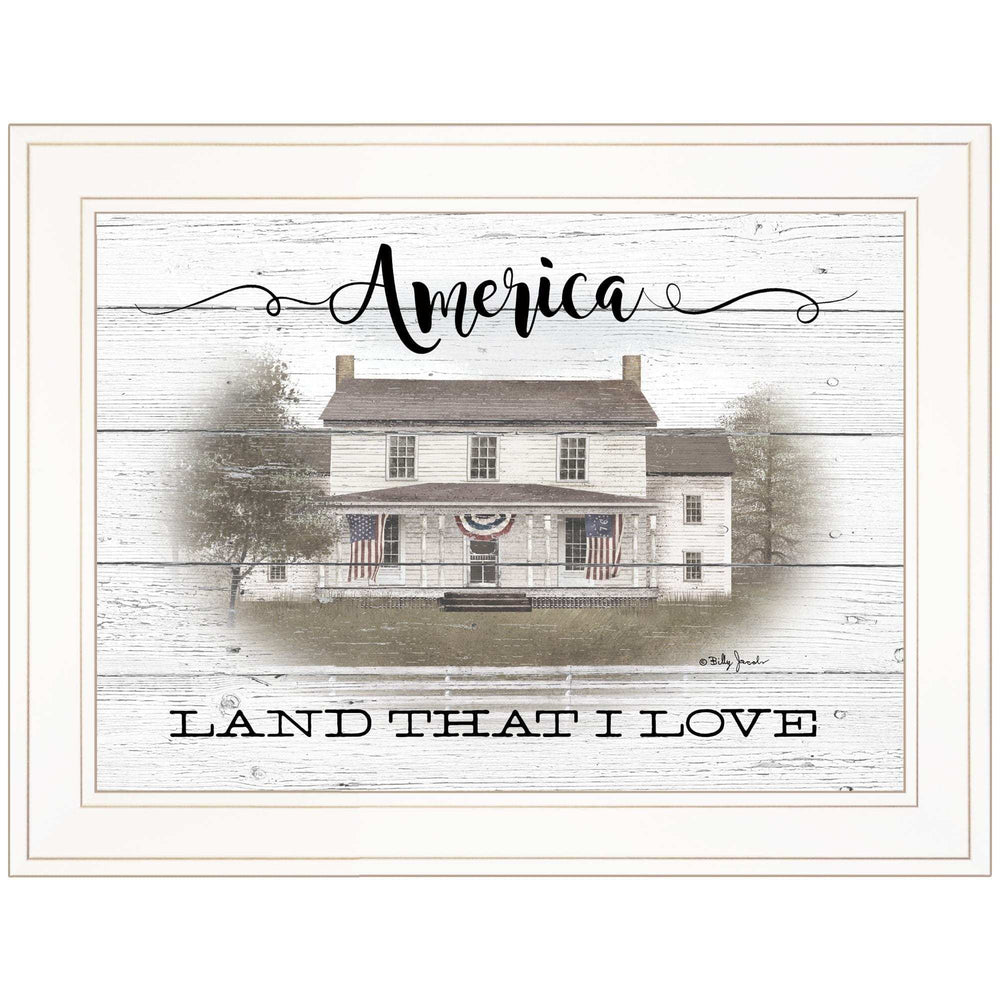 America 1 White Framed Print Wall Art - Homeroots - Flyclothing LLC