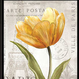 Set Of Two Paris 2 Black Framed Print Wall Art - Homeroots - Flyclothing LLC