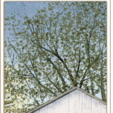 Set Of Two Country Barns 1 White Framed Print Wall Art - Homeroots - Flyclothing LLC