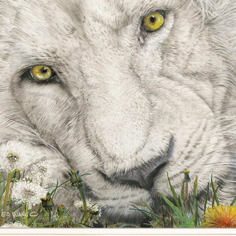 Dandy Lion 2 White Framed Print Wall Art - Homeroots - Flyclothing LLC