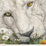 Dandy Lion 2 White Framed Print Wall Art - Homeroots - Flyclothing LLC