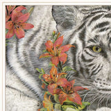 Tiger Lily 2 White Framed Print Wall Art - Homeroots - Flyclothing LLC