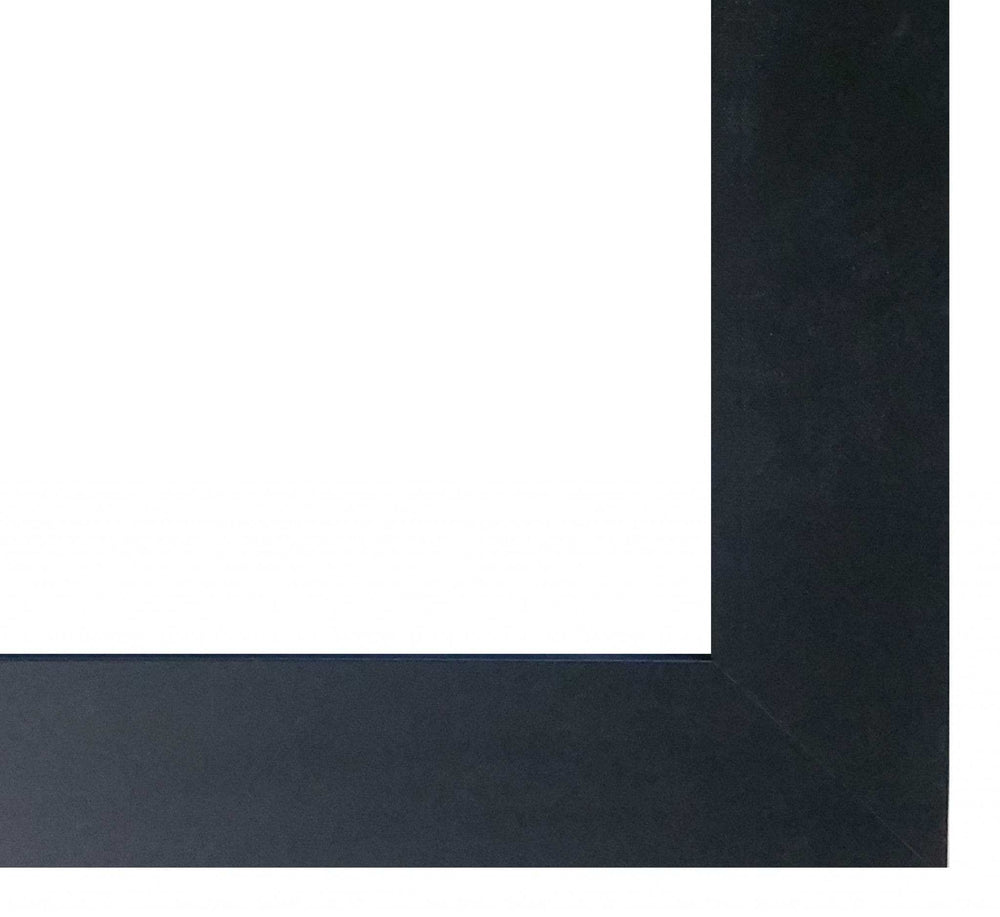 Tiger Lily 3 Black Framed Print Wall Art - Homeroots - Flyclothing LLC