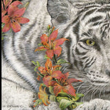 Tiger Lily 3 Black Framed Print Wall Art - Homeroots - Flyclothing LLC