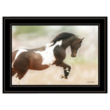 A Wild Kookie 3 Black Framed Print Wall Art - Homeroots - Flyclothing LLC