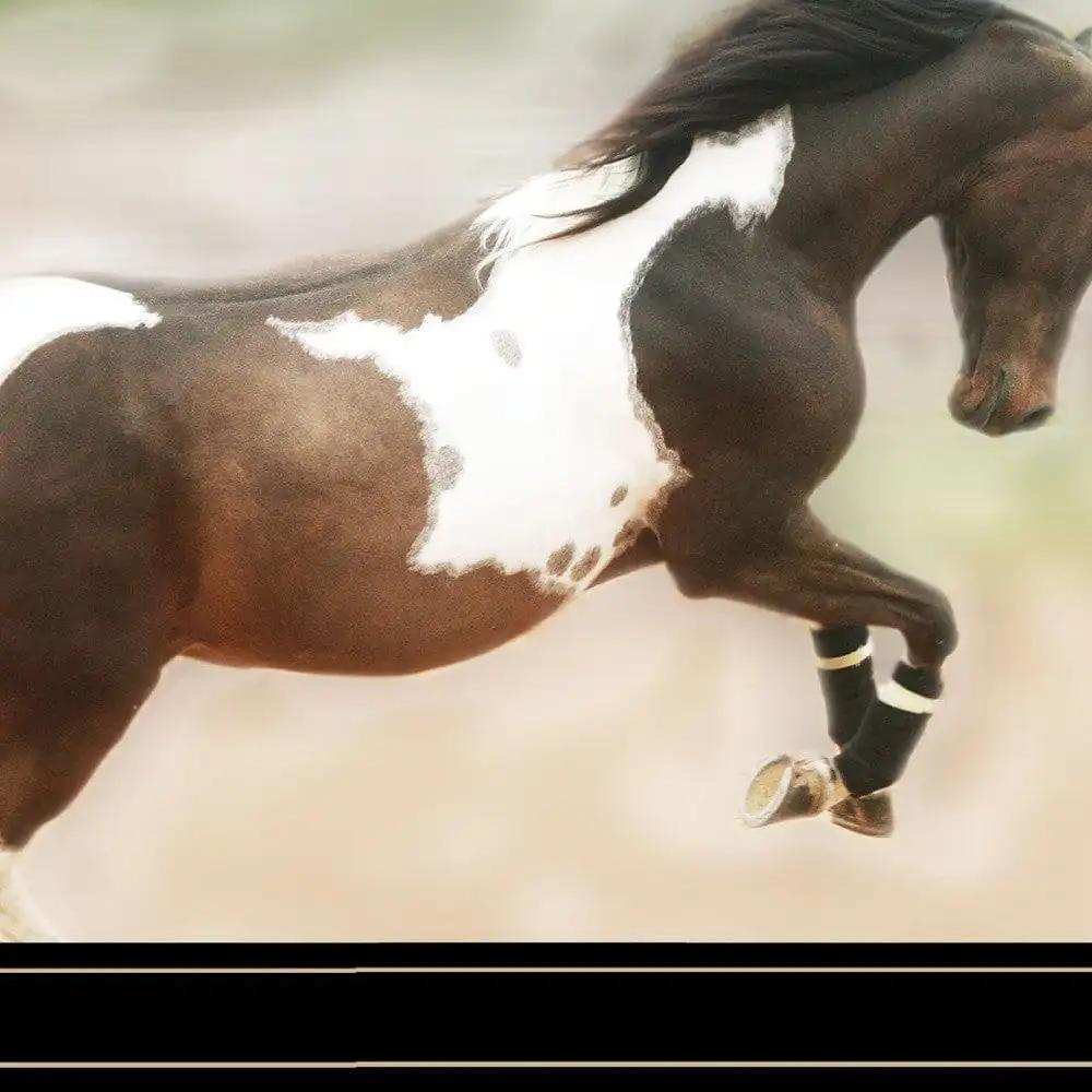 A Wild Kookie 3 Black Framed Print Wall Art - Homeroots - Flyclothing LLC