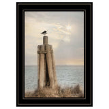 Birds Eye View 3 Black Framed Print Wall Art - Homeroots - Flyclothing LLC