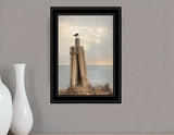 Birds Eye View 3 Black Framed Print Wall Art - Homeroots - Flyclothing LLC