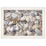 Starfish and Seashells 3 White Framed Print Wall Art - Homeroots - Flyclothing LLC