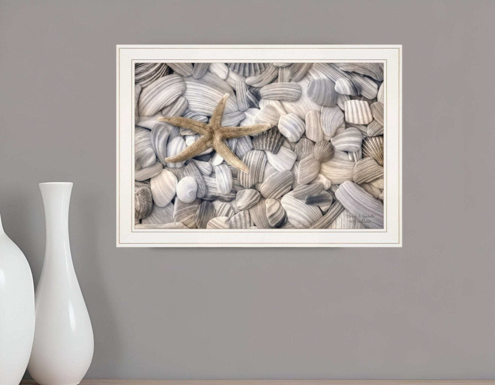 Starfish and Seashells 3 White Framed Print Wall Art - Homeroots - Flyclothing LLC