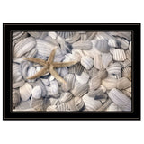 Starfish and Seashells 4 Black Framed Print Wall Art - Homeroots - Flyclothing LLC