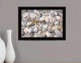 Starfish and Seashells 4 Black Framed Print Wall Art - Homeroots - Flyclothing LLC