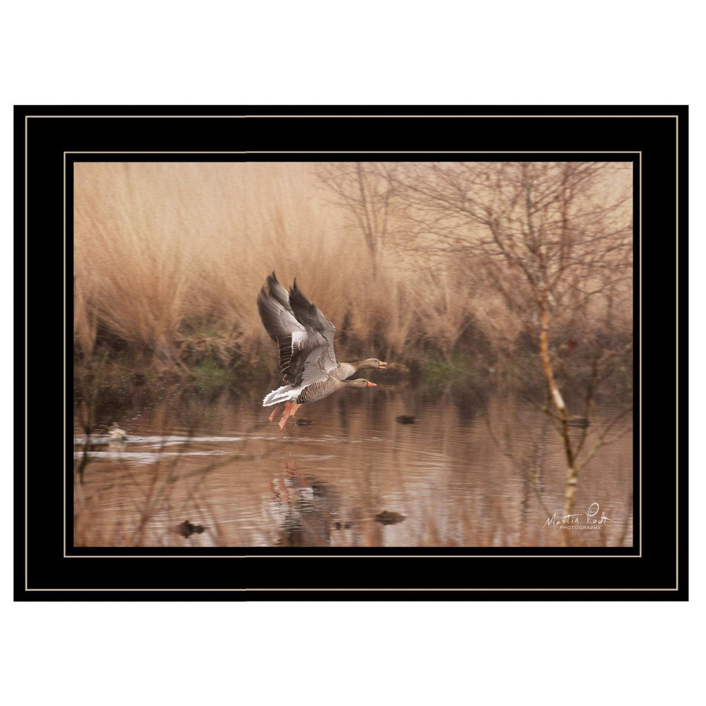 Fly Away 5 Black Framed Print Wall Art - Homeroots - Flyclothing LLC