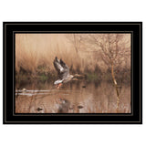 Fly Away 5 Black Framed Print Wall Art - Homeroots - Flyclothing LLC