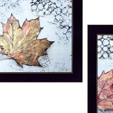 Set Of Two Channeling Fall Leaves I and III 3 Black Framed Print Wall Art - Homeroots - Flyclothing LLC