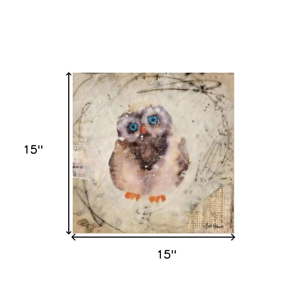 Set Of Two Wonder Years Owls 1 White Framed Print Wall Art - Homeroots - Flyclothing LLC
