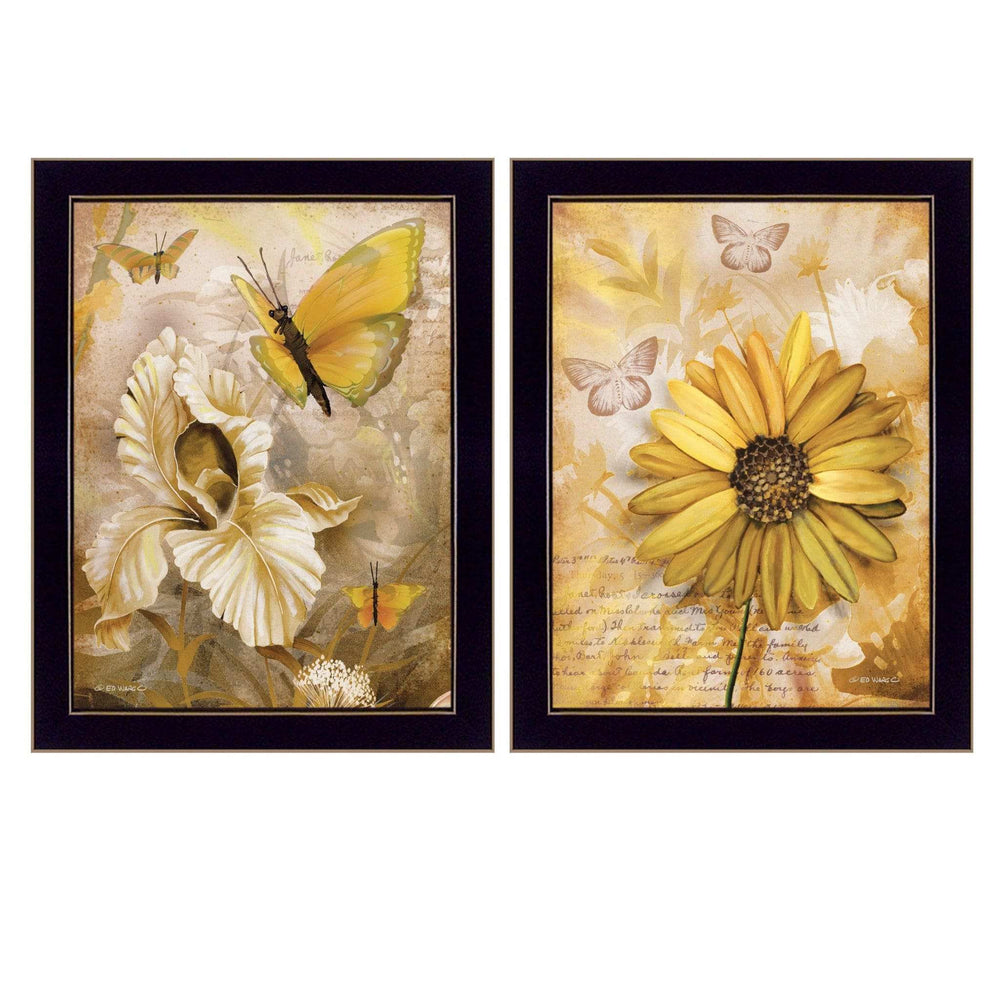 Set Of Two Flowers and Butterflies 3 Black Framed Print Wall Art - Homeroots - Flyclothing LLC