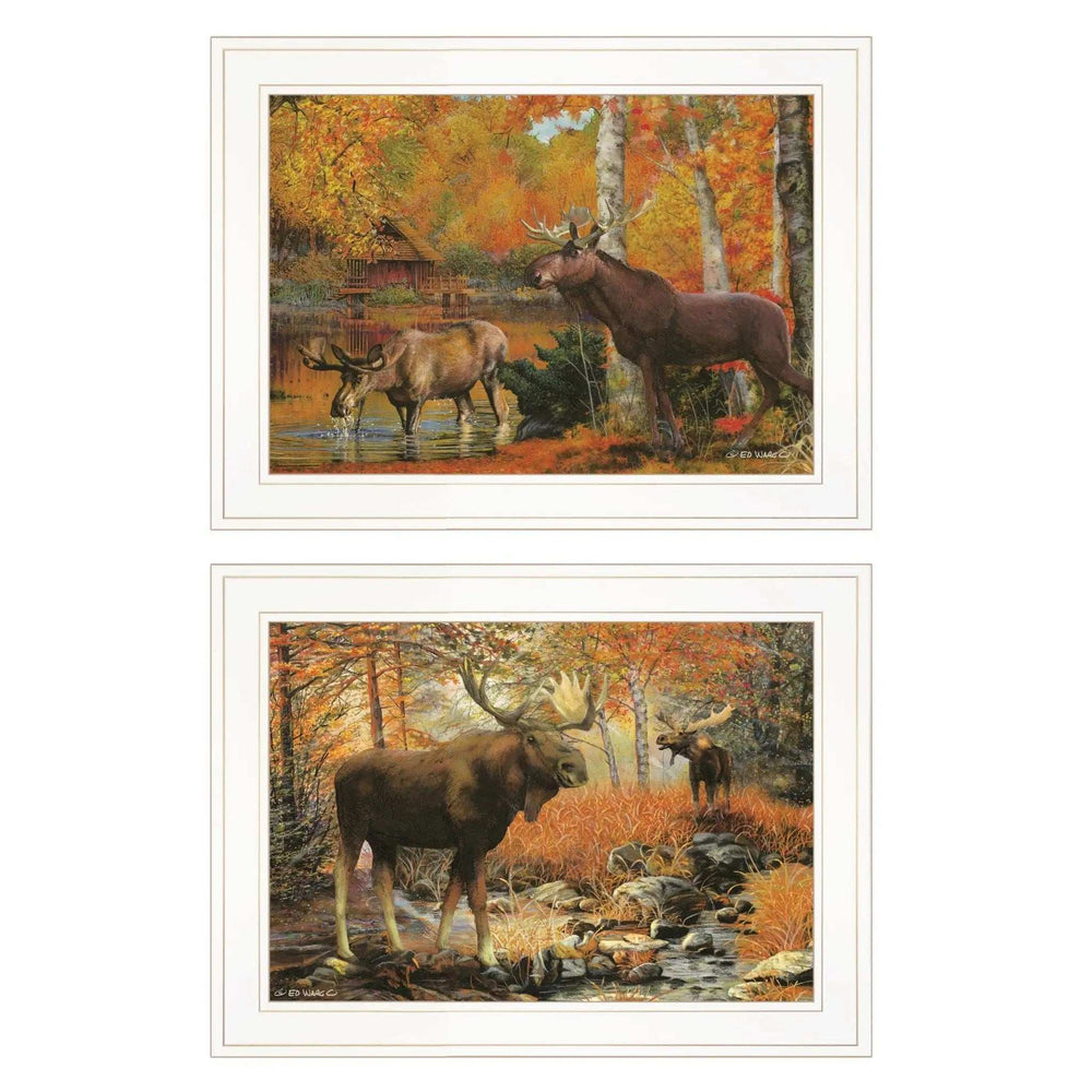 Set Of Two Call of the Wild 1 White Framed Print Wall Art - Homeroots - Flyclothing LLC