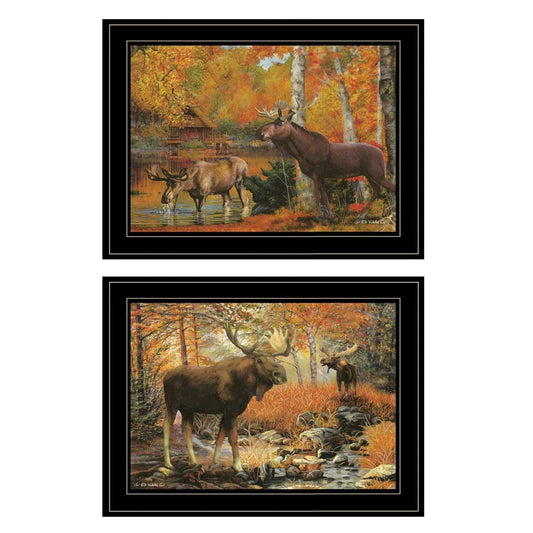 Set Of Two Great Outdoors 4 Black Framed Print Wall Art - Homeroots - Flyclothing LLC