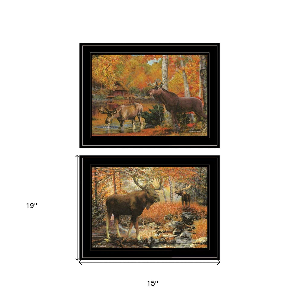 Set Of Two Great Outdoors 4 Black Framed Print Wall Art - Homeroots - Flyclothing LLC