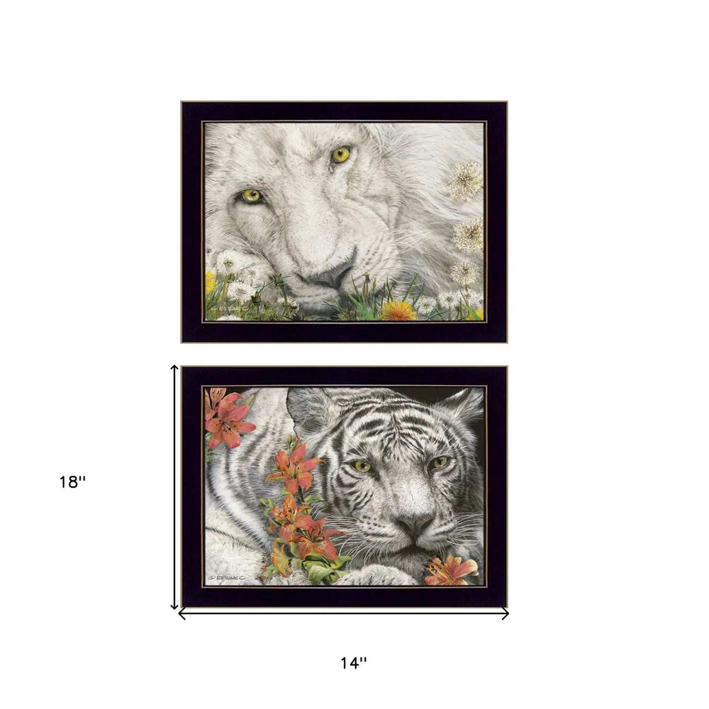 Set Of Two Tiger Lily Dandy Lion 3 Black Framed Print Wall Art - Homeroots - Flyclothing LLC