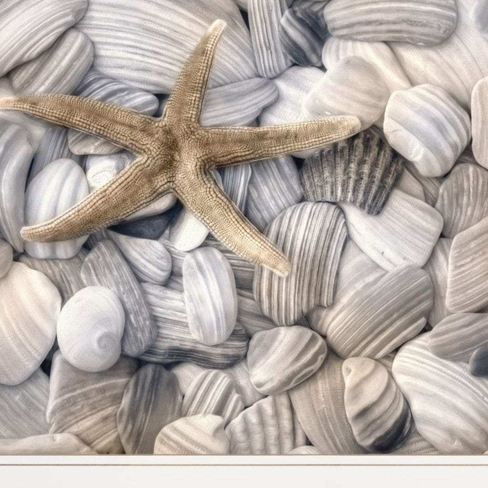 Set Of Two Cape Hatteras Lighthouse and Sea Shells 3 White Framed Print Wall Art - Homeroots - Flyclothing LLC